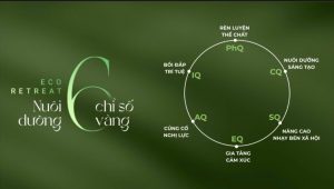 6 chỉ số vàng Eco Retreat