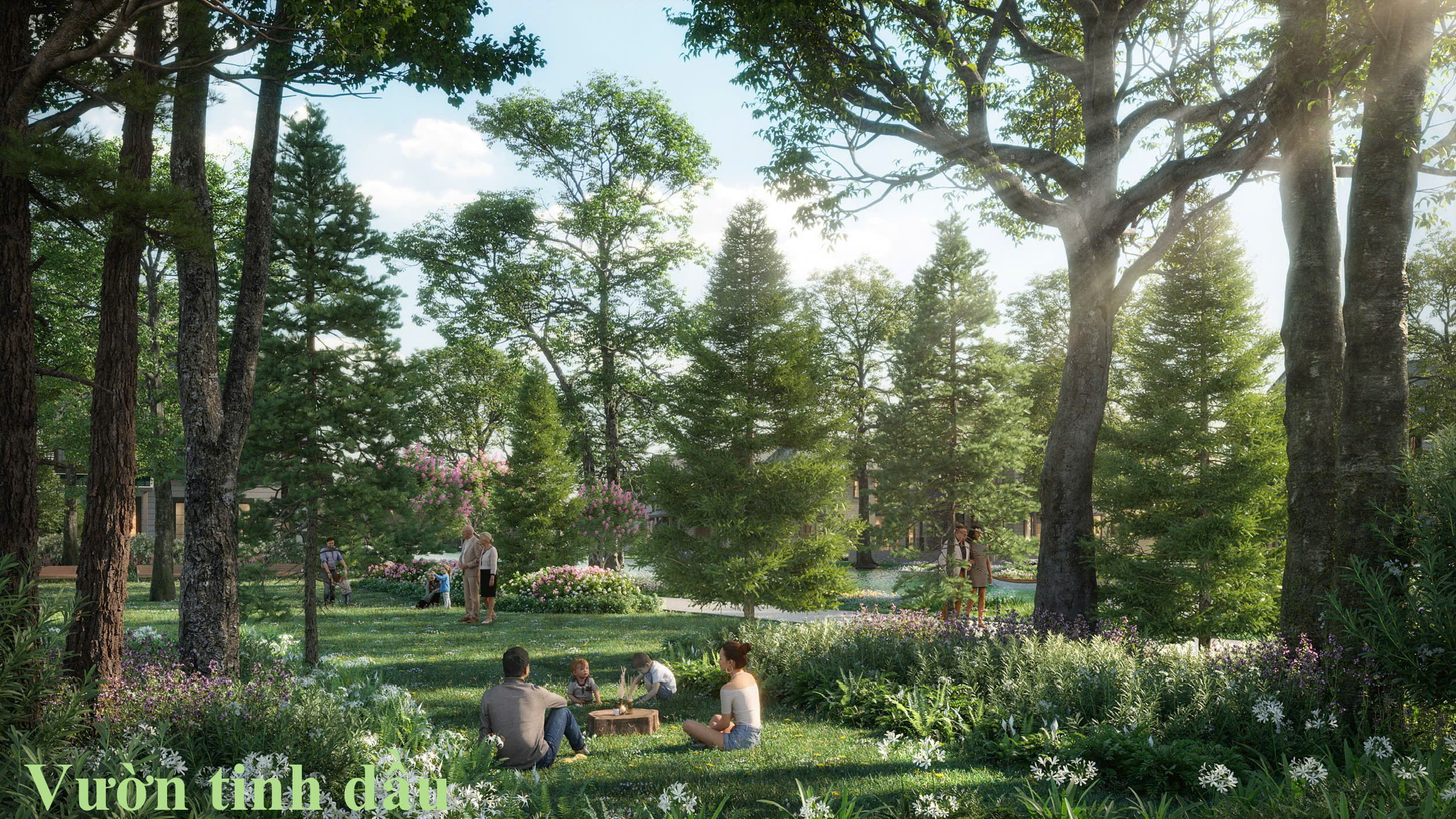 Vườn tinh dầu Eco Retreat