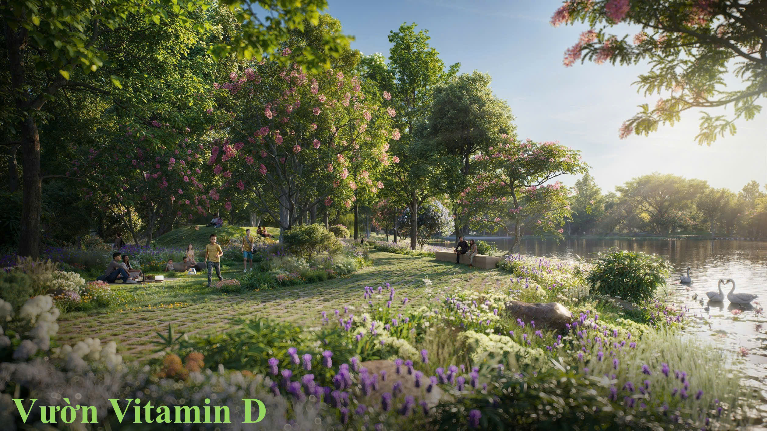 Vườn Vitamin D Eco Retreat